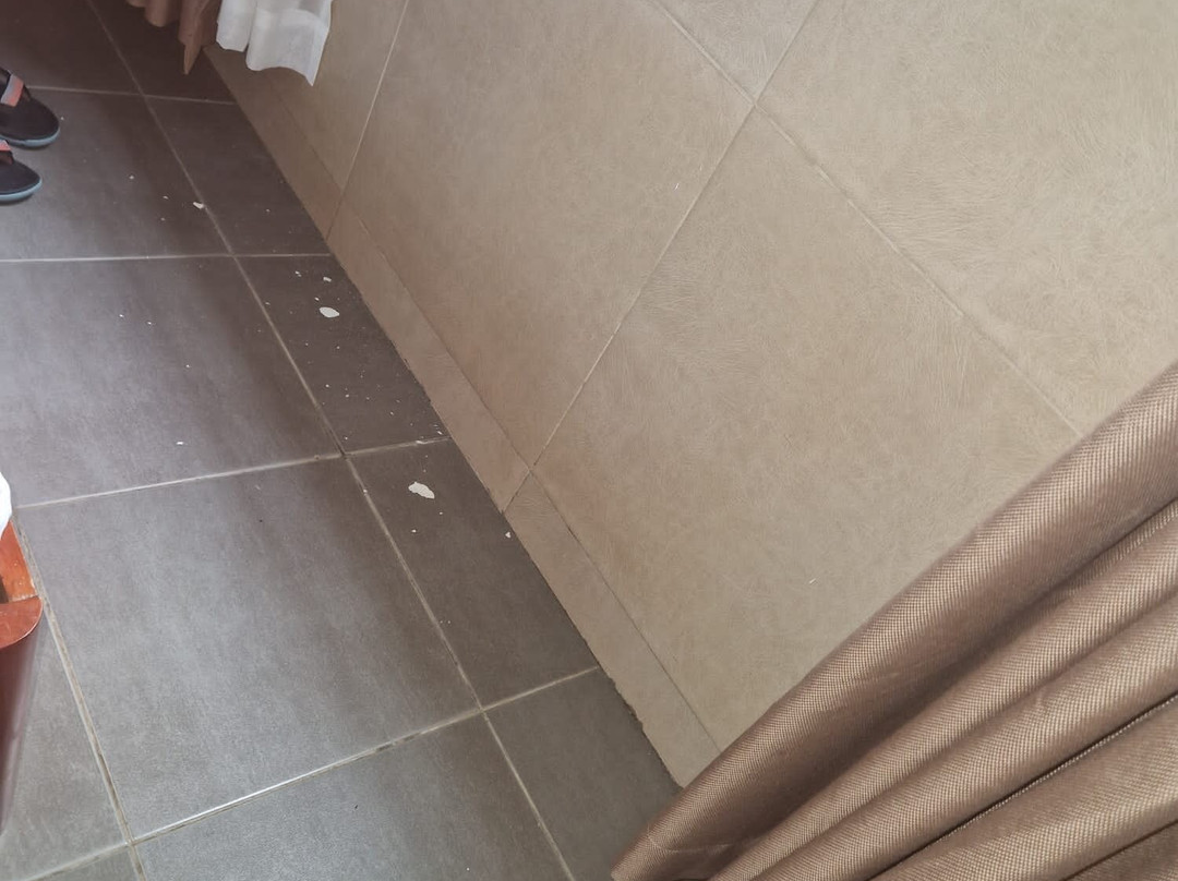 D´Milez Hotel主图