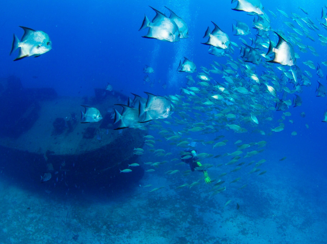 Aicádiving - Centro De Mergulho - Recife-累西腓必去景点