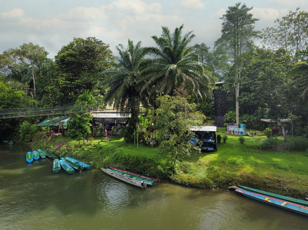 Freme Rainforest Lodge