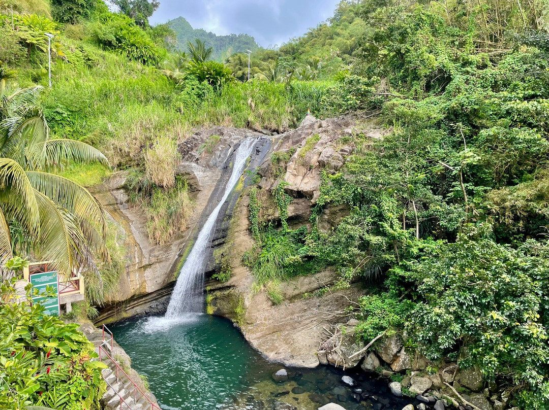Mount Qua Qua Grenada-Grand Etang National Park必去景点