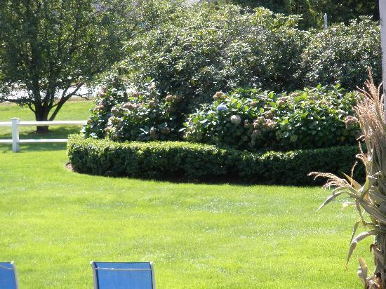 Sandy Neck Motel主图