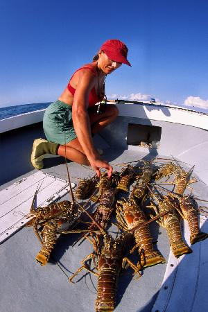 Rickmon Bonefish Lodge主图