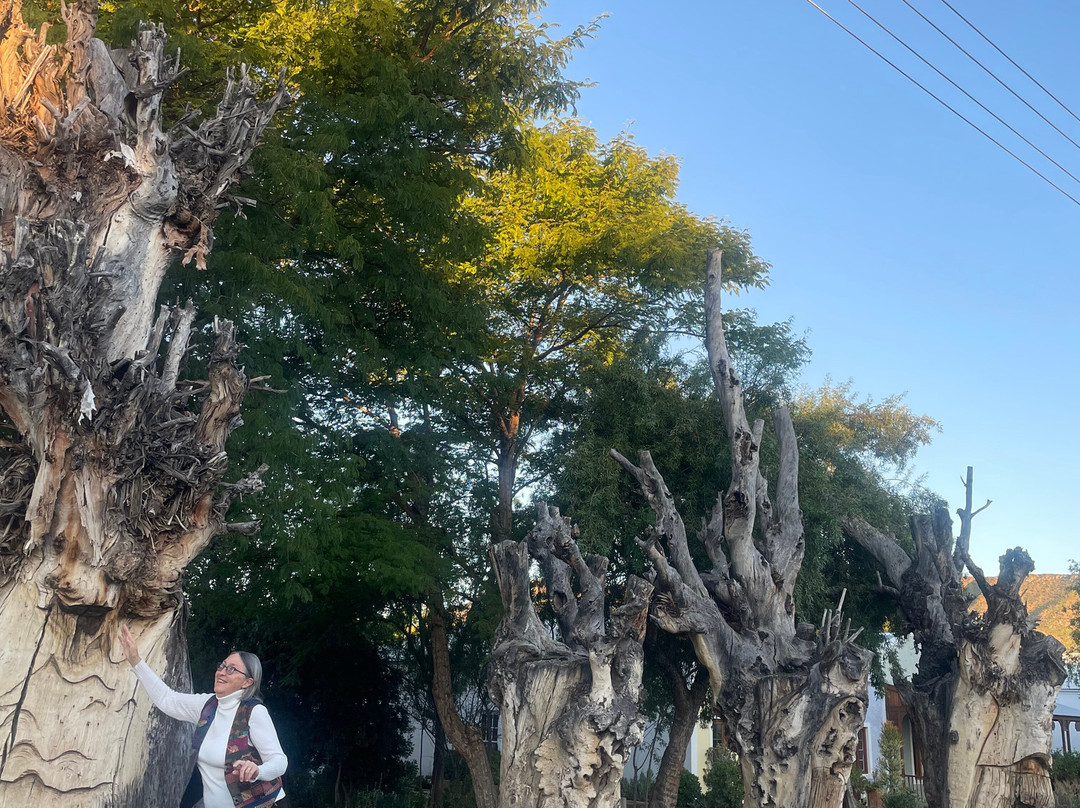 The Story Weaver-Prince Albert必去景点