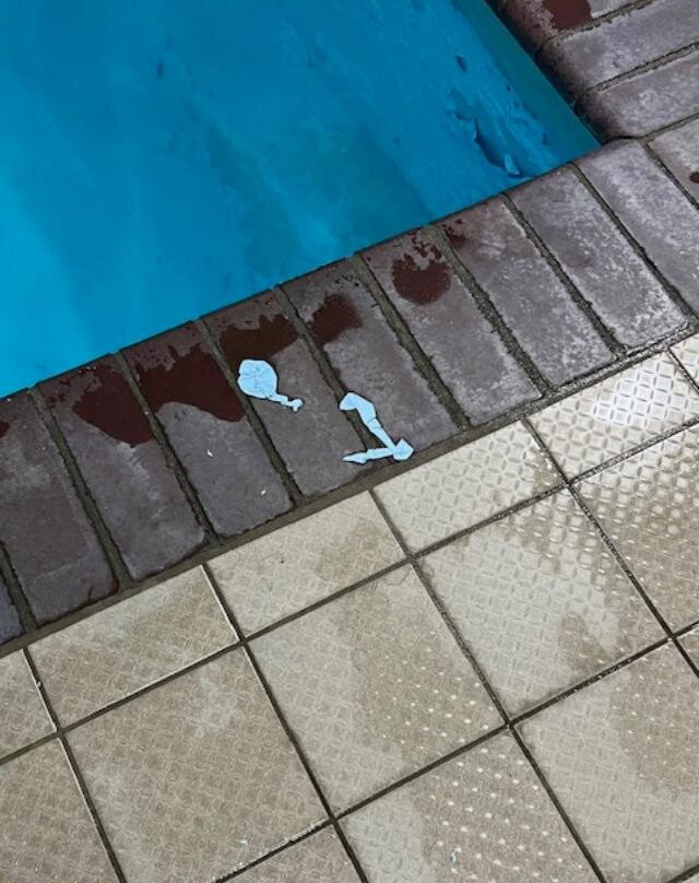 Quality Inn Nashville - Bloomington主图