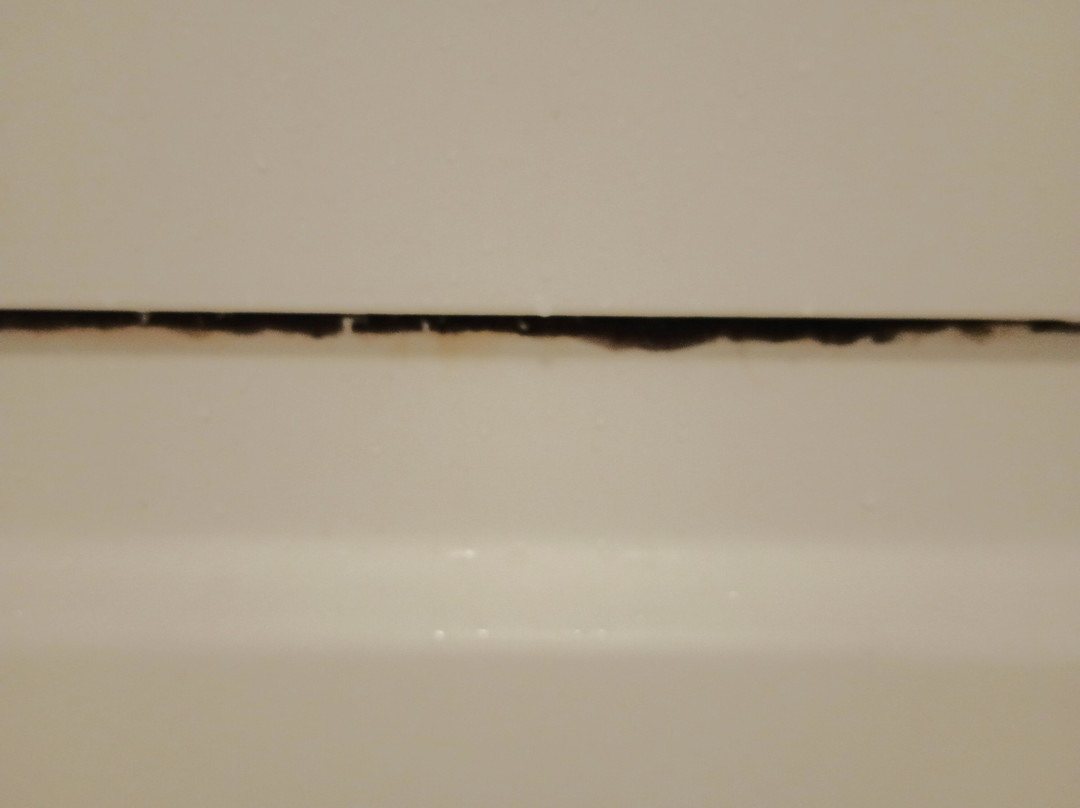 Days Inn By Wyndham Brooksville Dade City主图