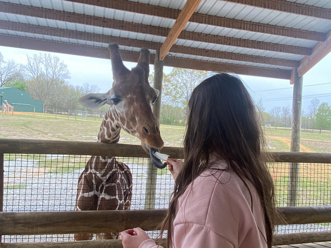 Alabama Safari Park景点图片