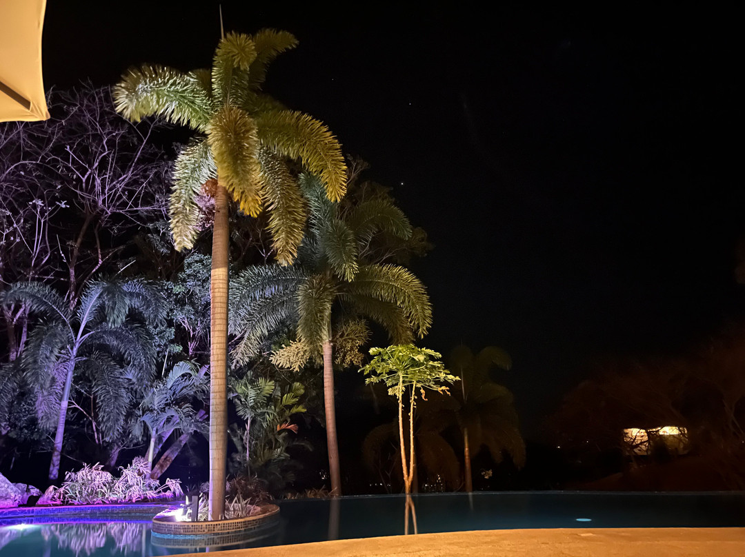 Mikado Natural Lodge主图