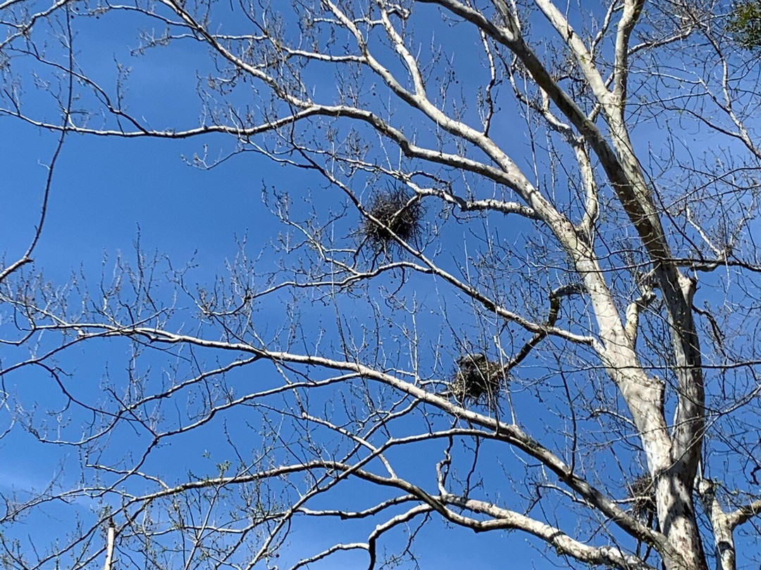 Radnor Lake State Park-纳什维尔必去景点