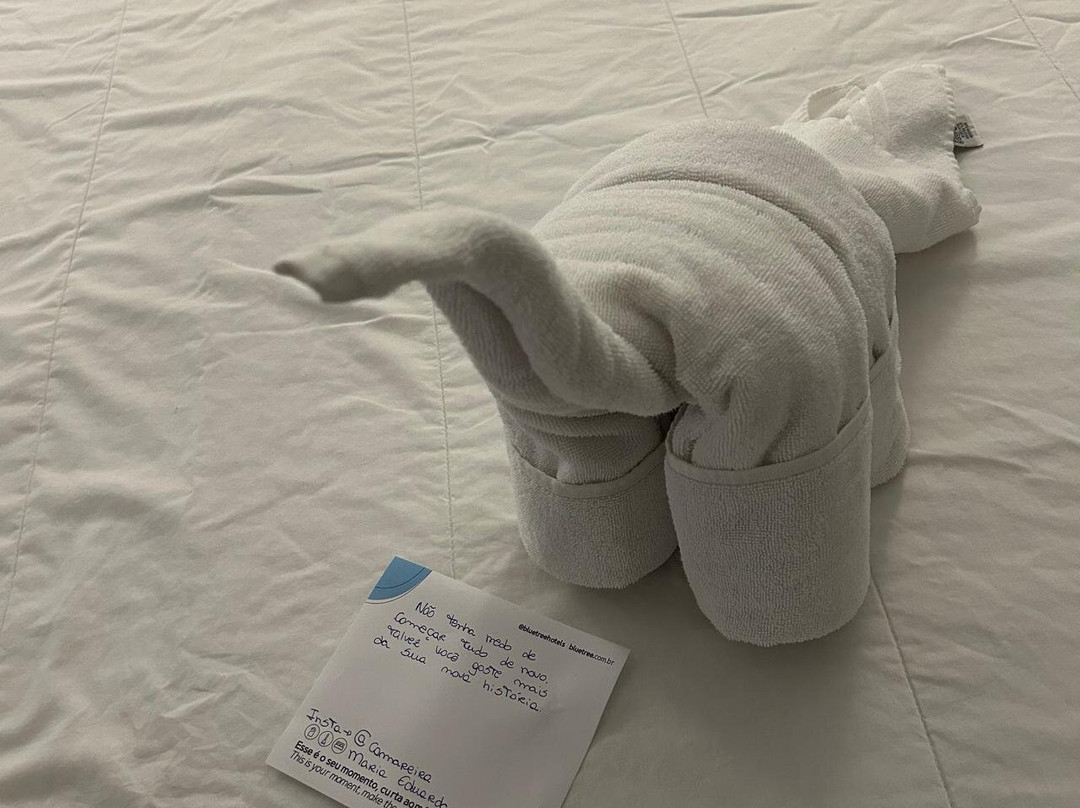 Hotel Blue Tree Towers Joinville主图