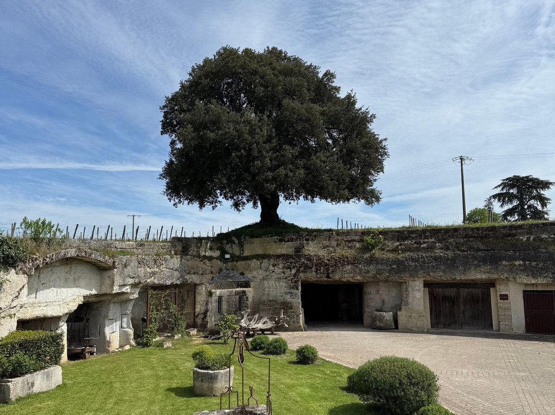 Chateau Franc Mayne景点图片