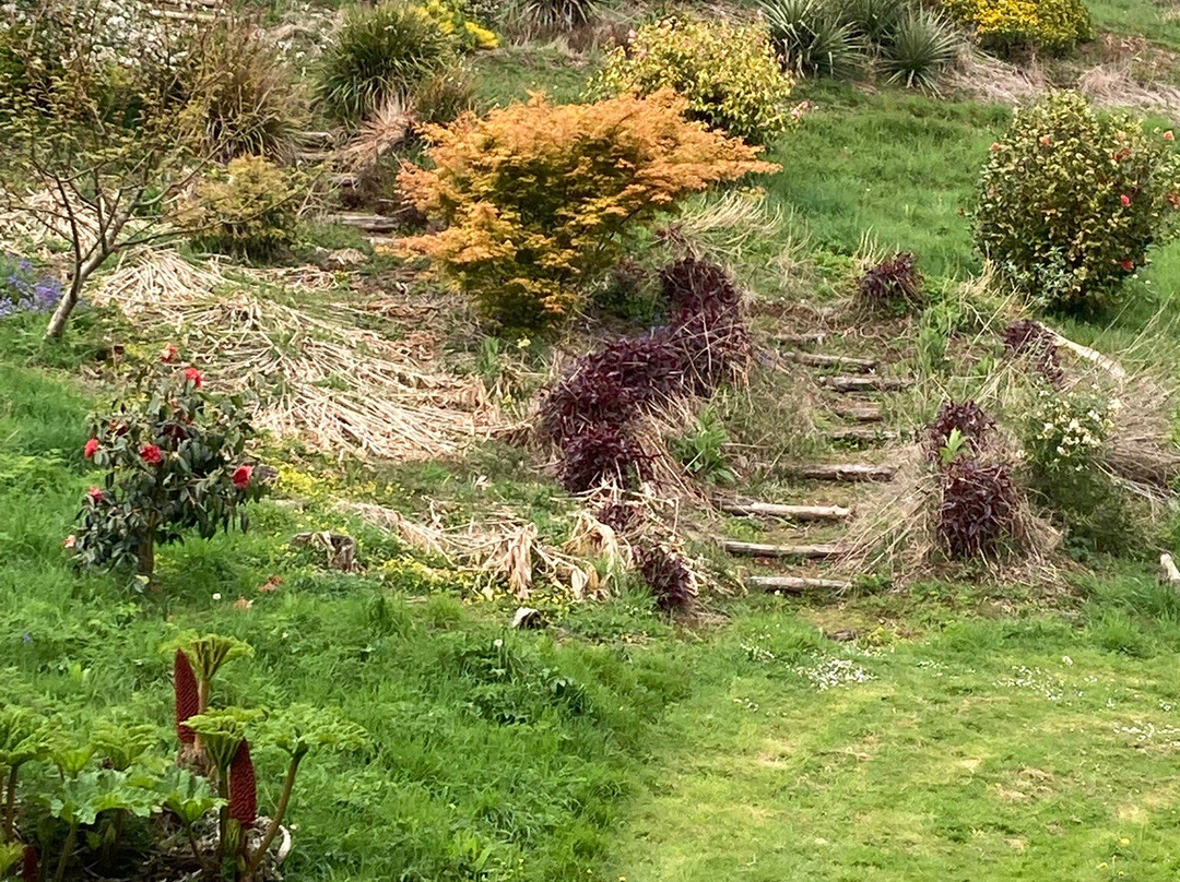 Fast Rabbit Farm Gardens景点图片