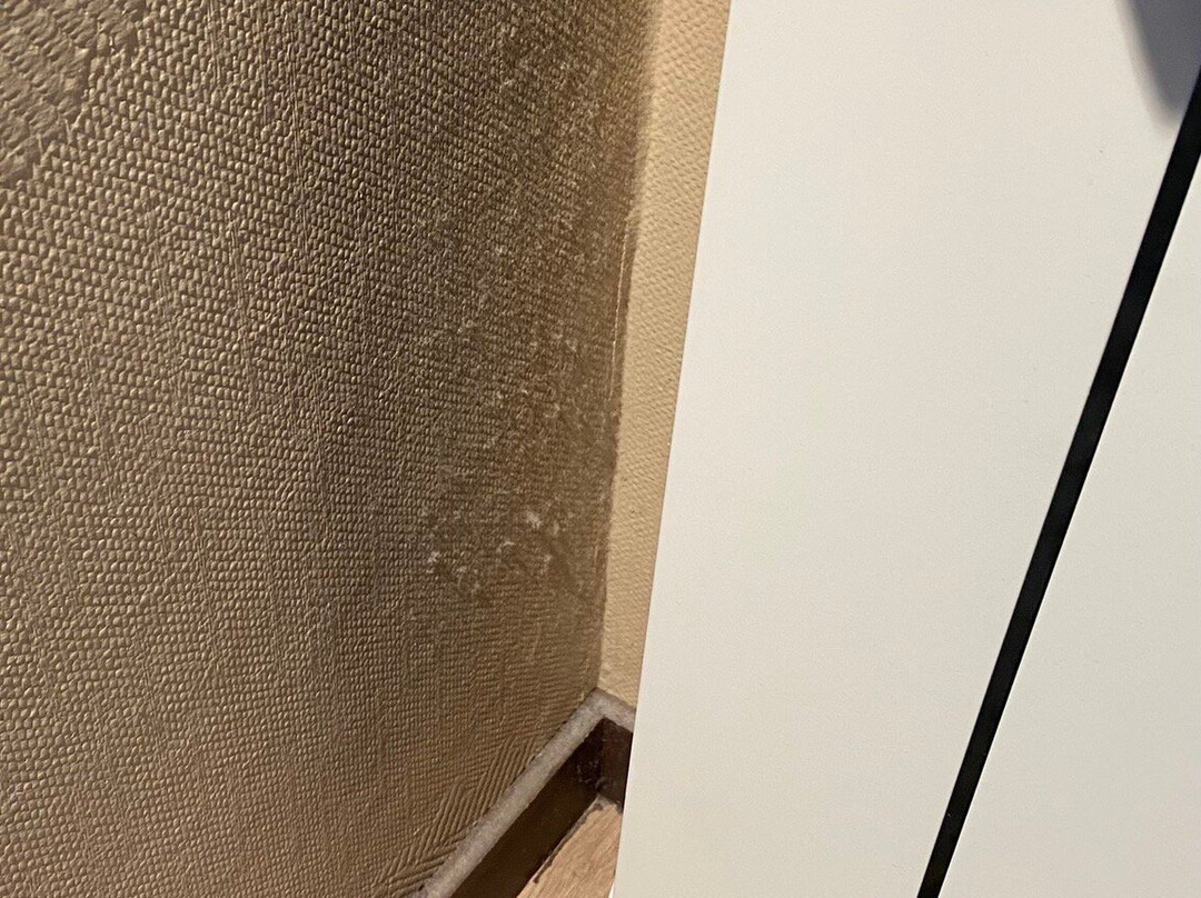 Logis Atoll Hôtel主图