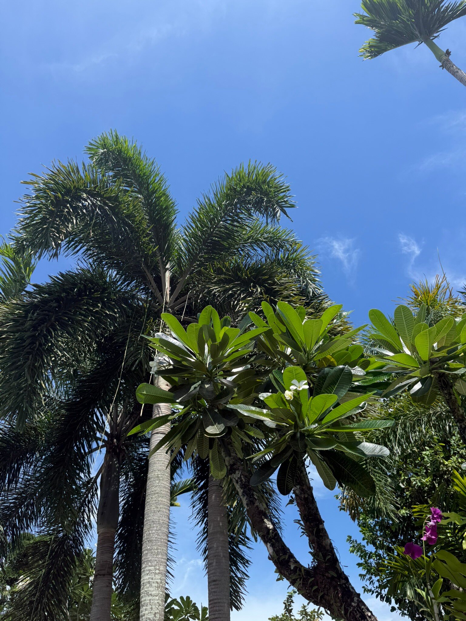 谭排别墅酒店-官方