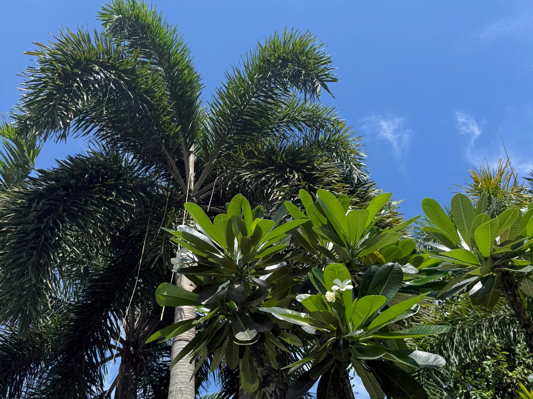 谭排别墅酒店主图