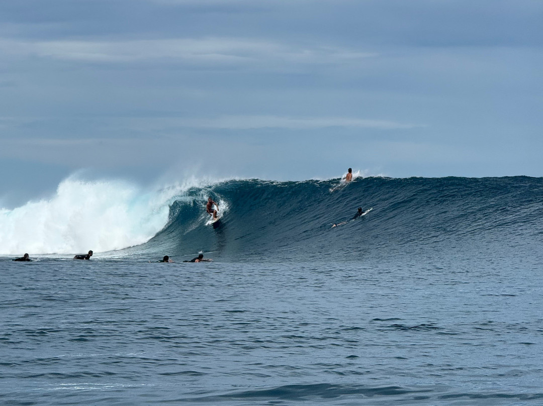 Brothers Surf Tours-纳迪市必去景点