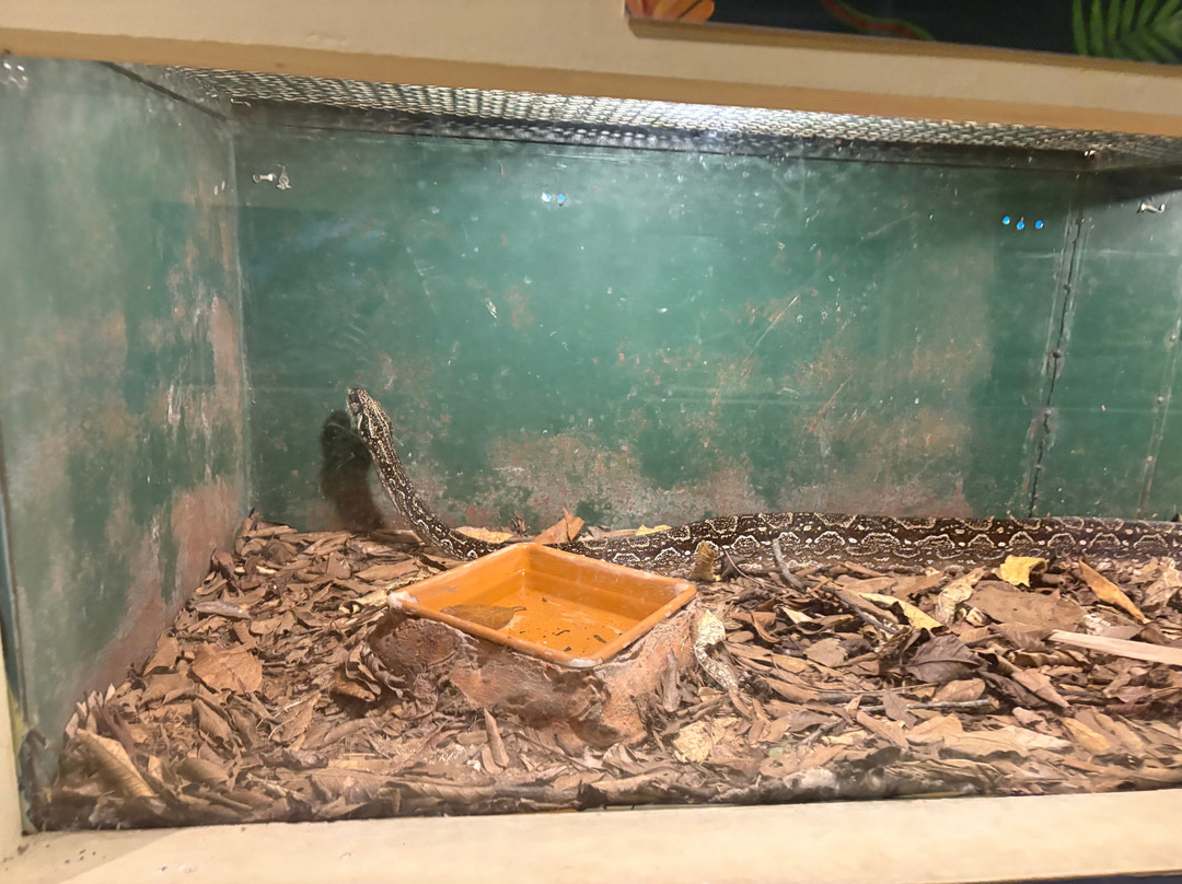 Bio Centro Iguazu-伊瓜苏港必去景点