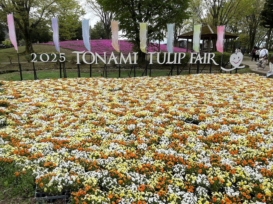 Tonami Tulip Park-砺波市必去景点