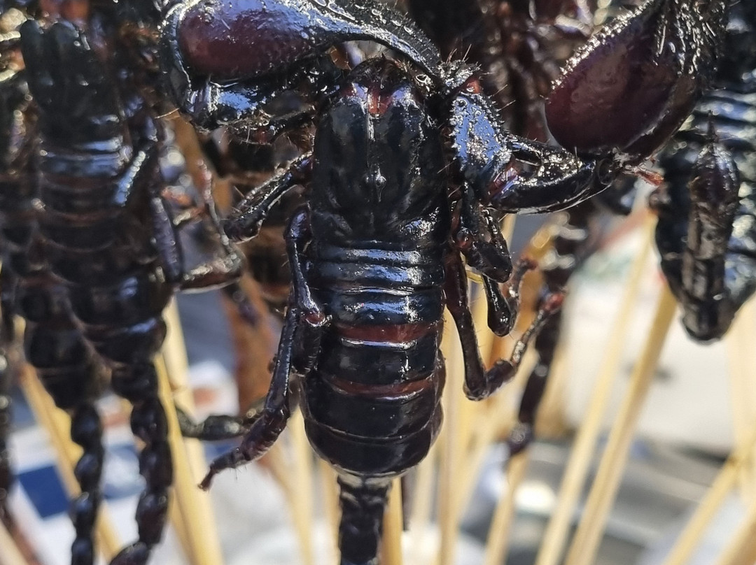 Bengitours-曼谷必去景点