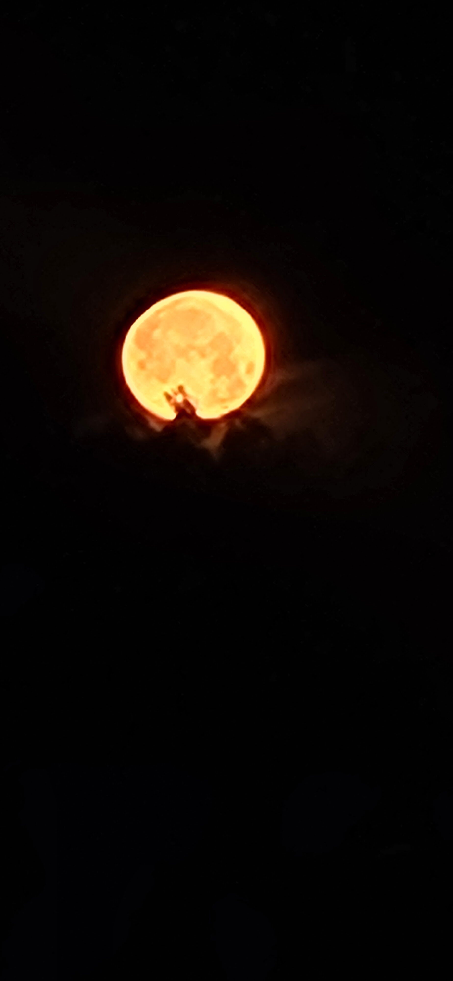 Knights Inn Madera-酒店景观