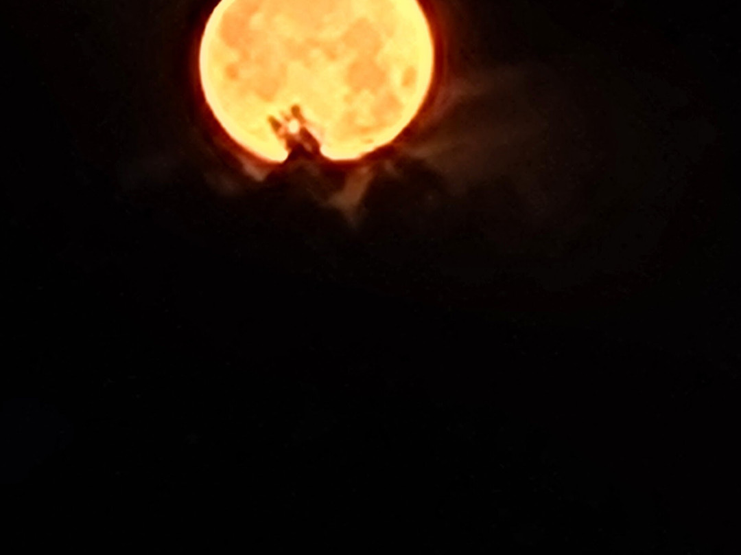 Knights Inn Madera主图