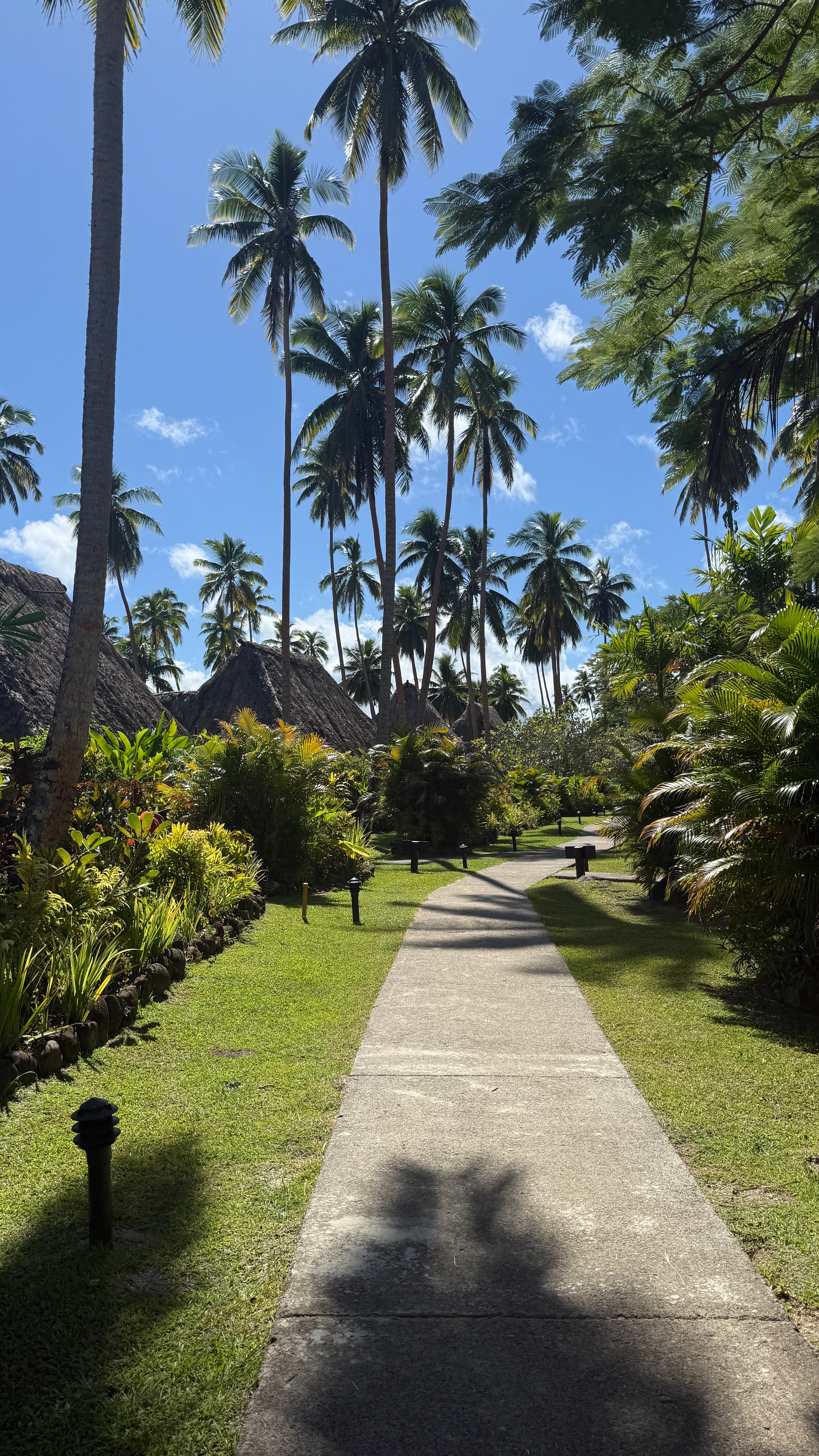 Jean-Michel Cousteau Resort Fiji-浴室