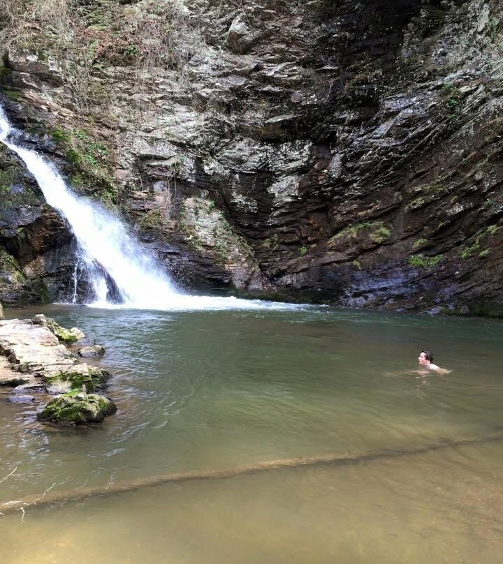 Brasstown Falls景点图片