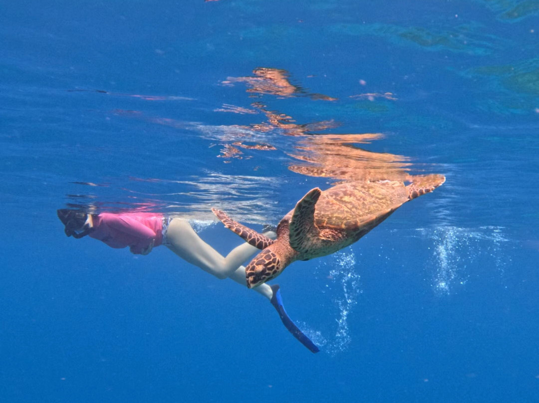 Ocean Mantra Retreats景点图片