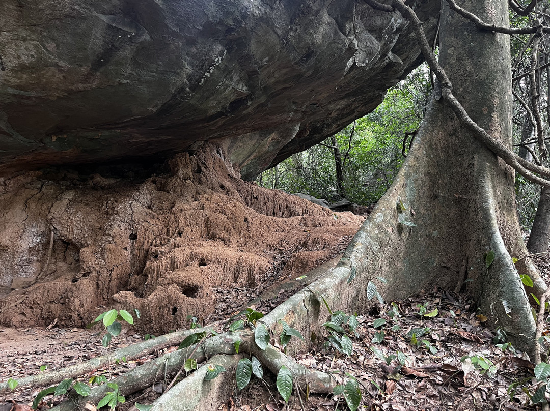 Adventure Birding Tours-特马必去景点