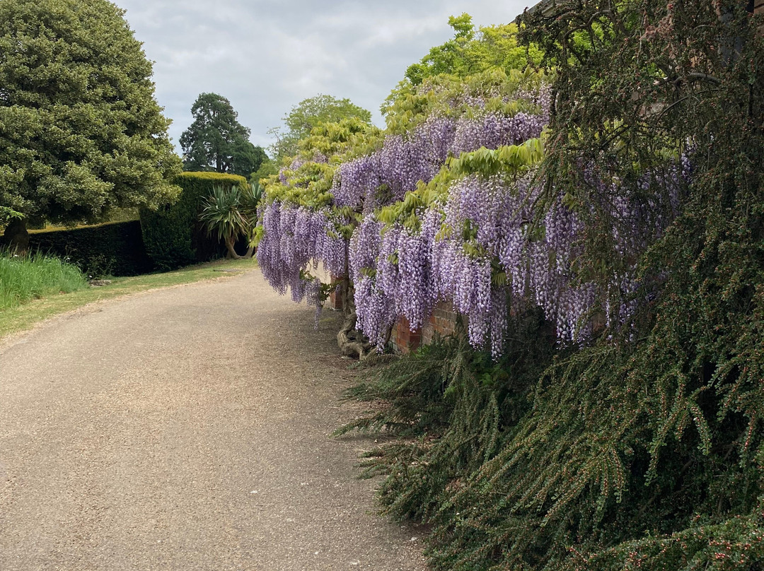 Mount Ephraim Gardens景点图片