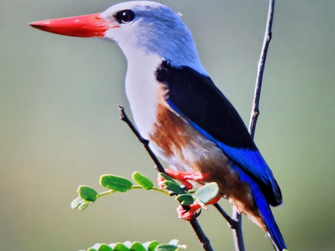 Edmar alves fogo-Sao Filipe必去景点