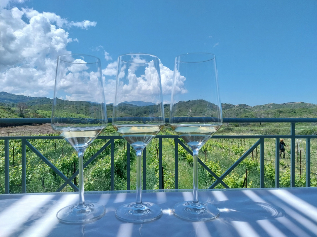 Tsambika Beach-Archangelos必去景点