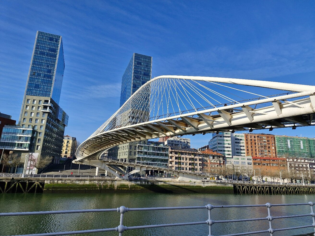 Puente Zubizuri景点图片
