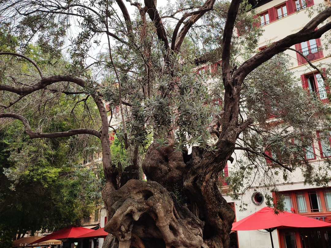 Hotel Bordoy Cosmopolitan主图