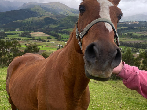 Instinto Ecuador Tours-基多必去景点