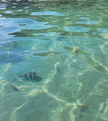 Passeios De Barco Lagoinha Maverick-乌巴图巴必去景点
