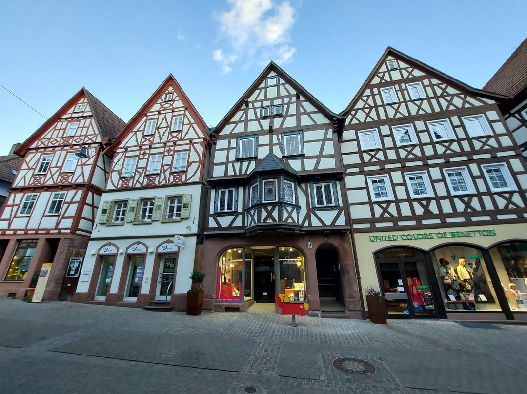 Hotel & Restaurant Lamm主图