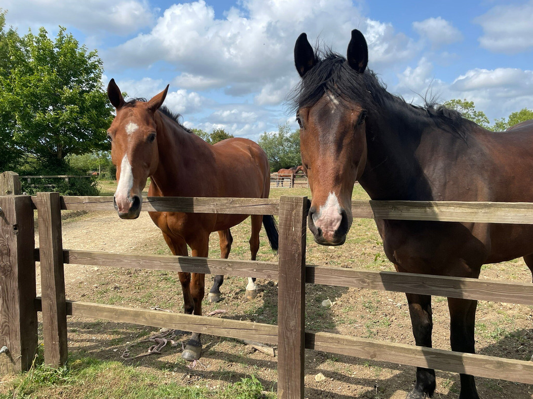 Cotswolds Riding-Stanton必去景点