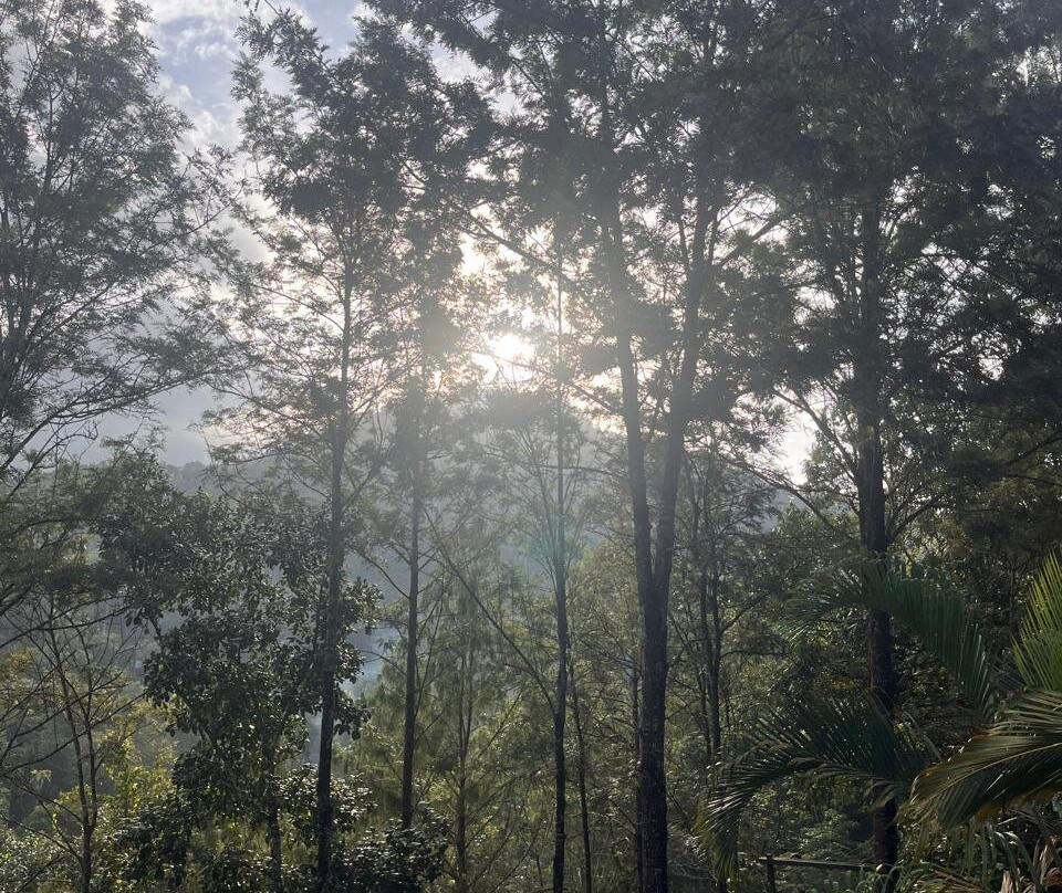 Kerala Holidays景点图片