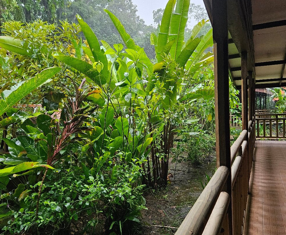 Best of Costa Rica DMC景点图片