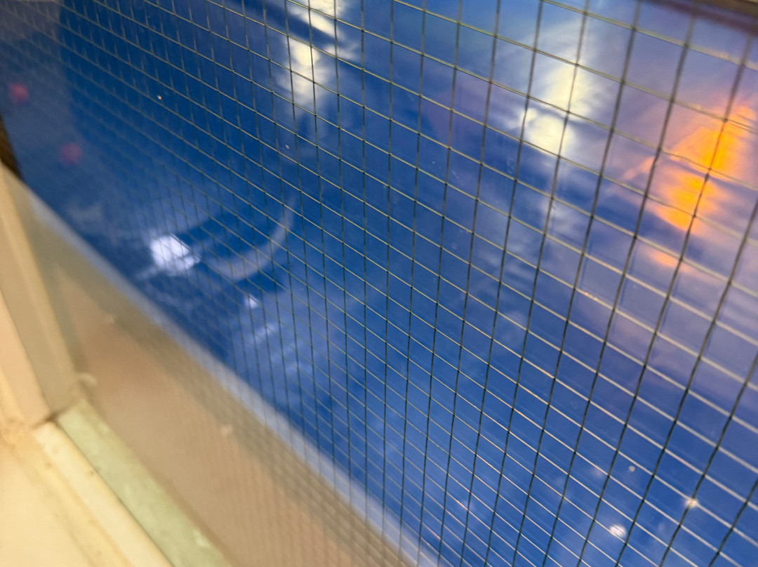 Frome Leisure Centre-弗罗姆必去景点