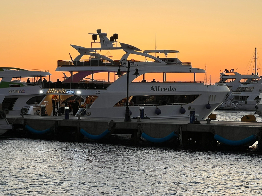 Pirates Dive Club-沙姆沙伊赫必去景点