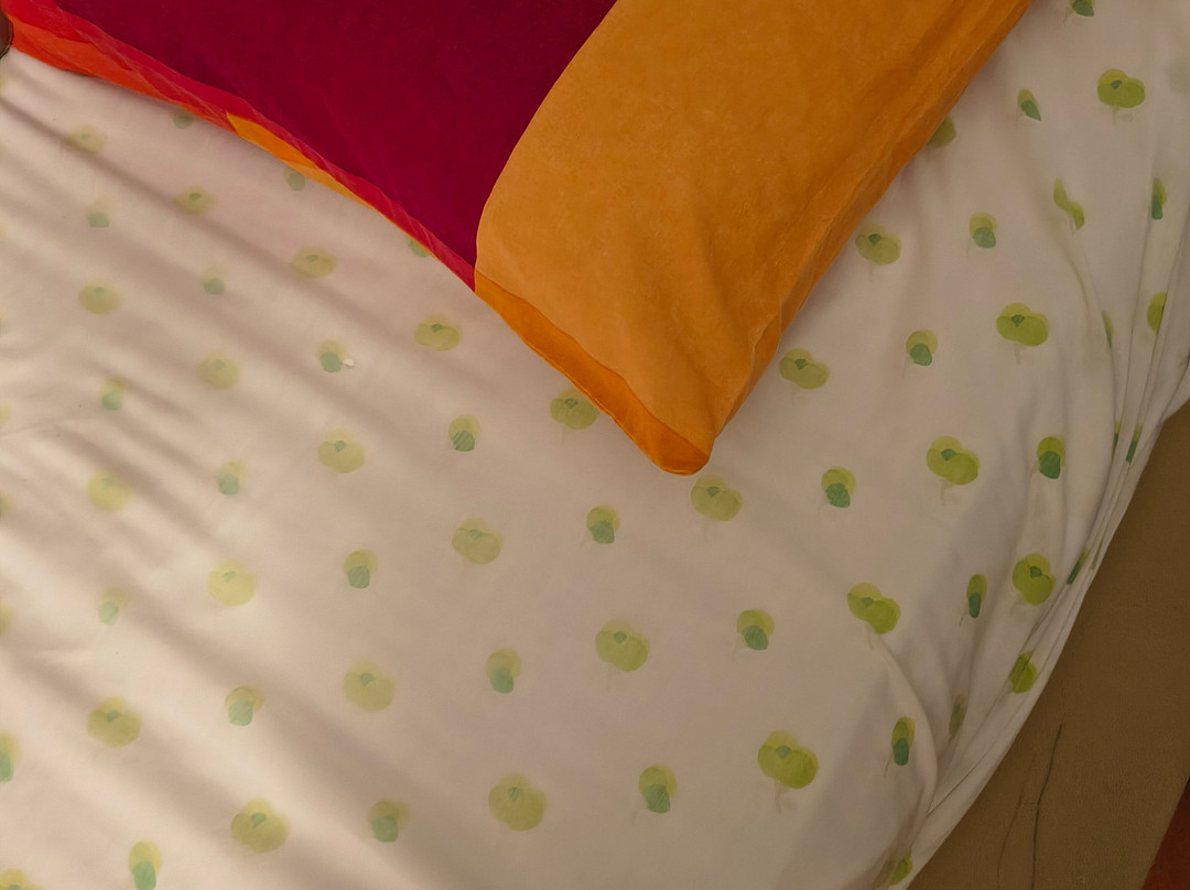 B&B La Gare Magenta主图