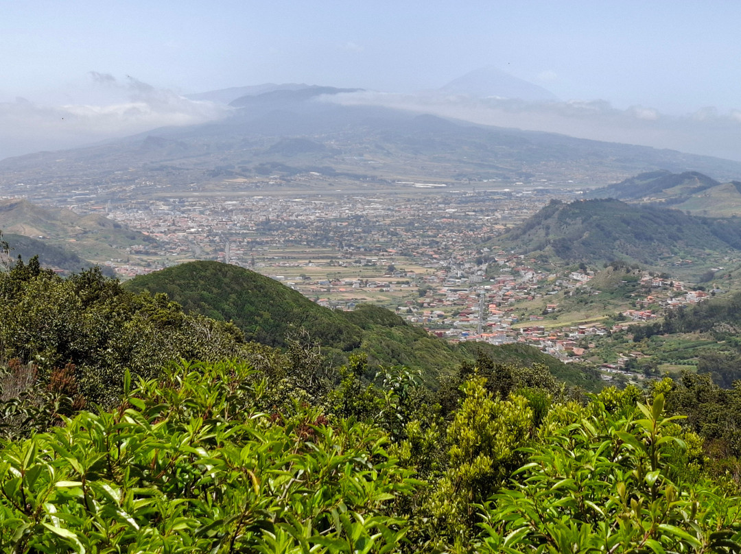 Mirador Cruz del Carmen-拉古纳的圣克里斯托波尔城必去景点