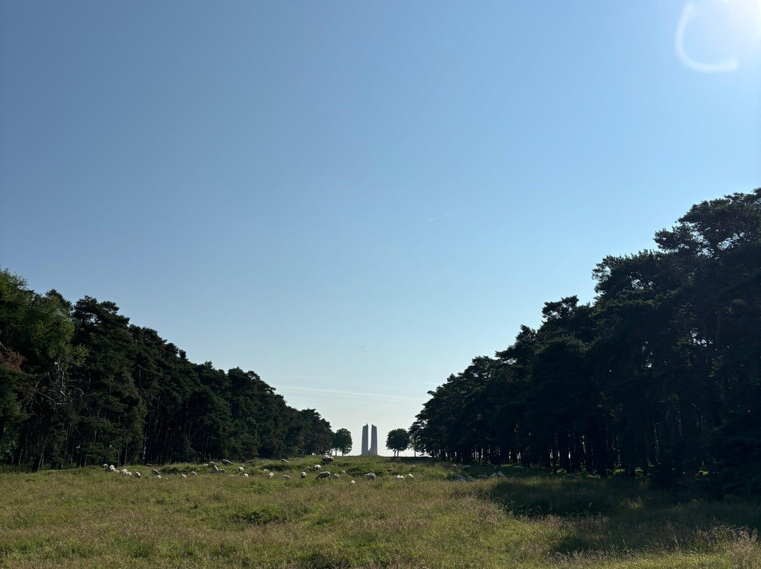 Canadian National Vimy Memorial景点图片