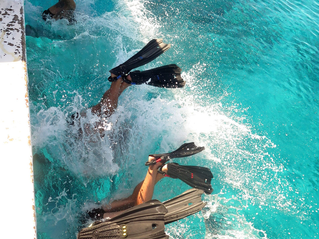 DSM Dive - Gili Trawangan景点图片