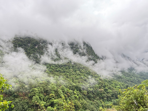 OurGuest.in-甘托克必去景点