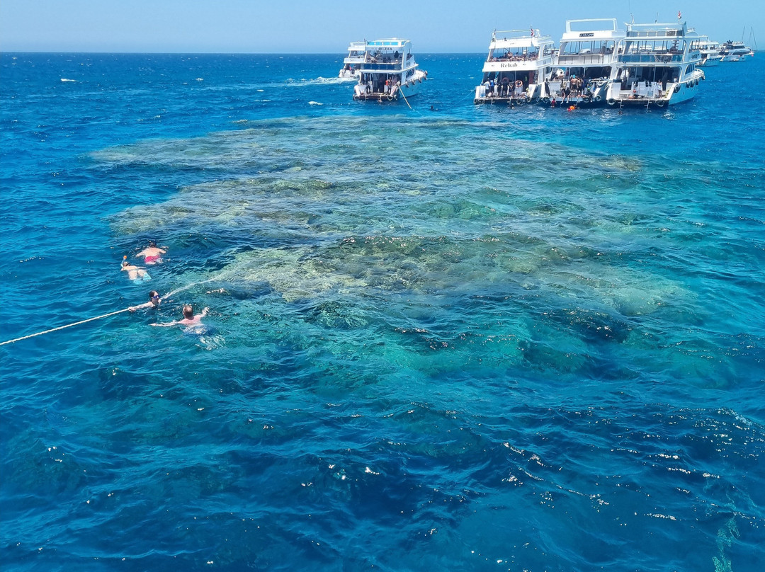 Blue Planet Diving Center景点图片