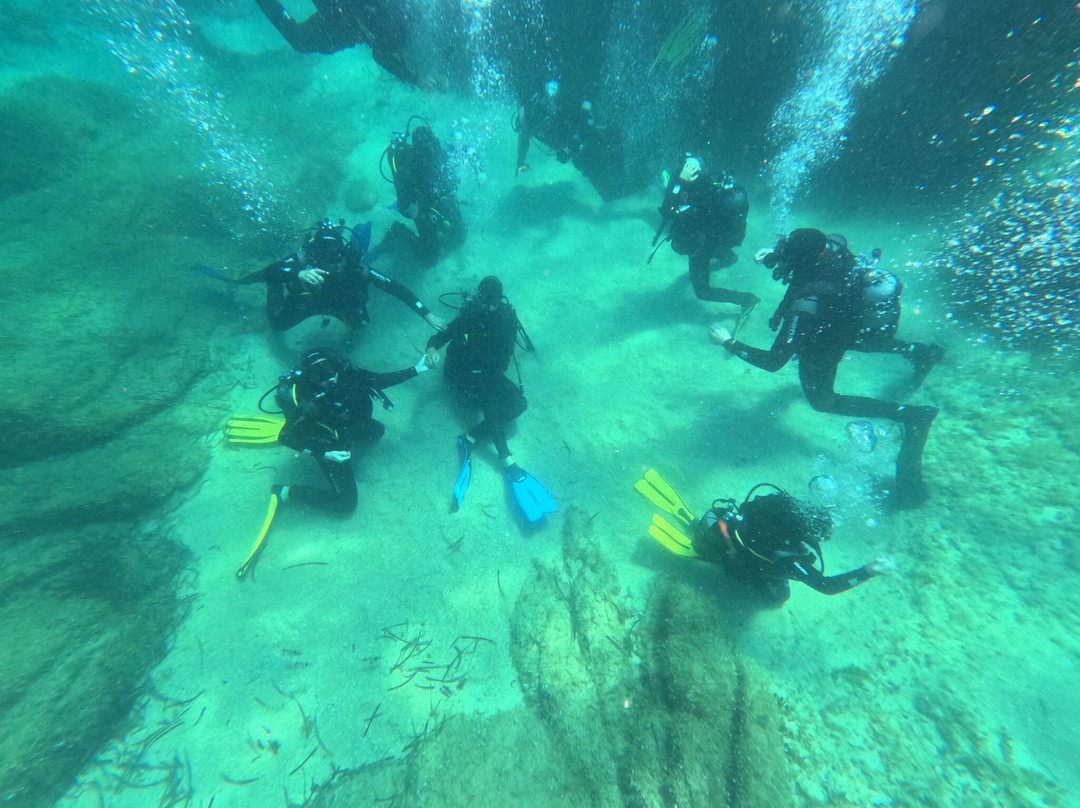 Orso Diving Club-切尔沃港必去景点