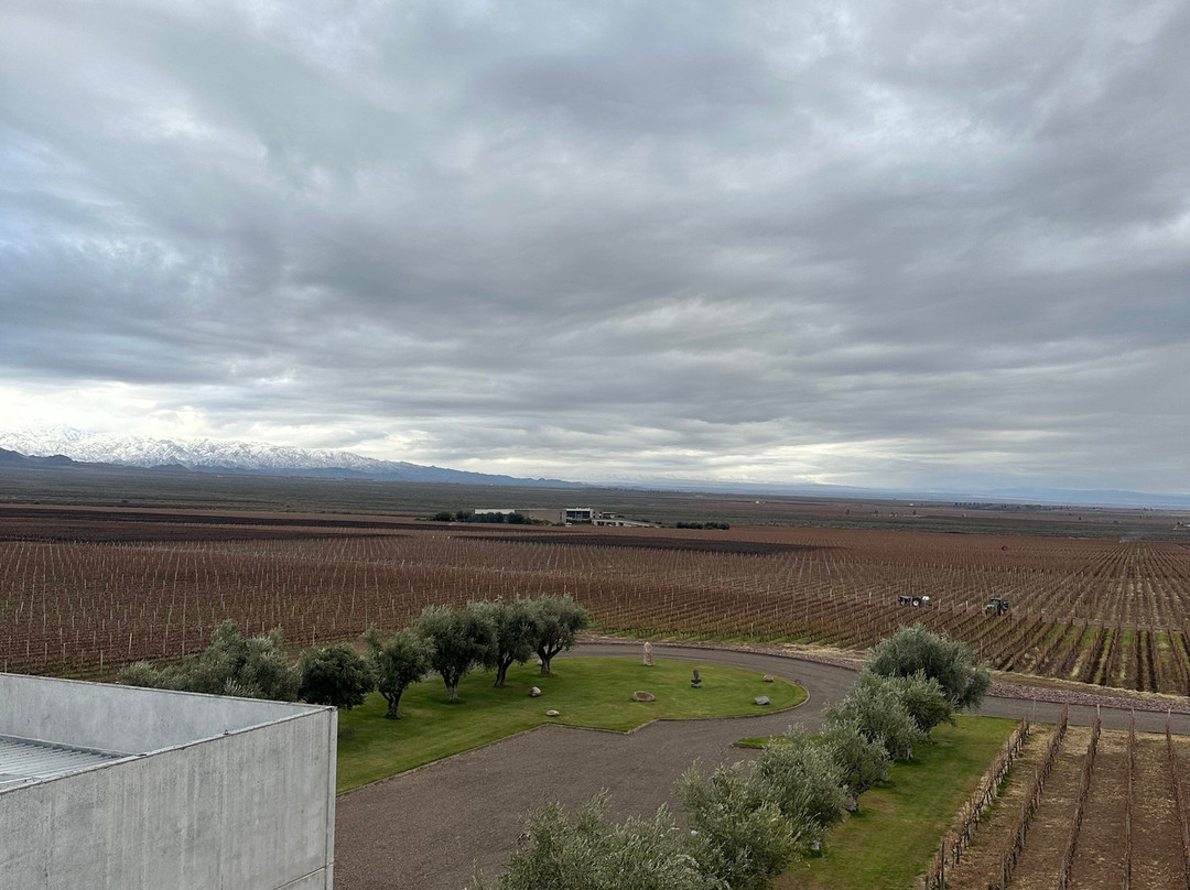 Bodega Monteviejo-Vista Flores必去景点