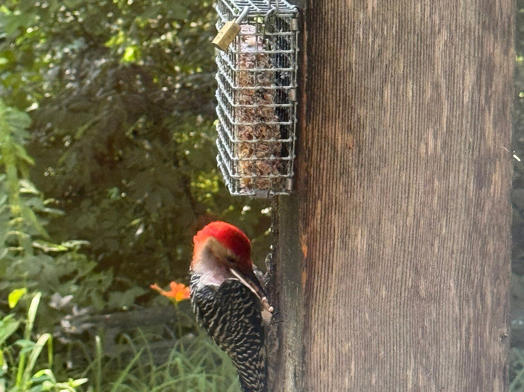 Brown County State Park-纳什维尔必去景点
